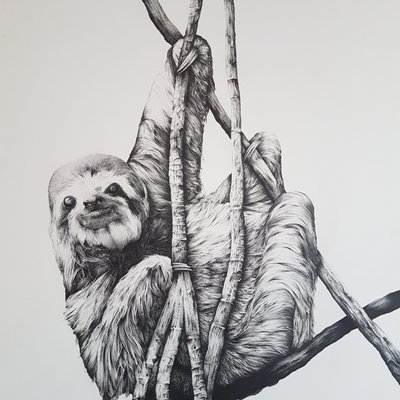 Profile Picture of Richard Holdsworth (@Richard88889300) on Twitter