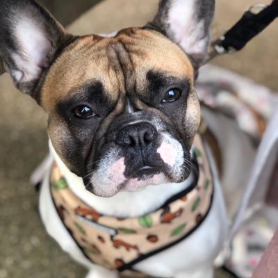 Profile Picture of Trish (@polyoldgirl79) on Twitter