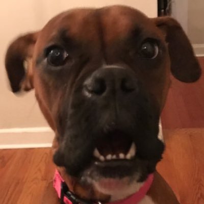 Profile Picture of John Neilson (@@Neilson3) on Twitter