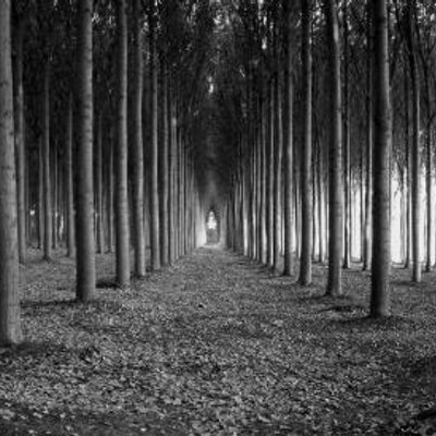 Profile Picture of Ariel Canton (@LestatderVampir) on Twitter