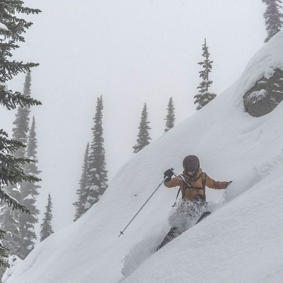 Profile Picture of Lisa Kovacs (@lisakovacs86) on Poshmark