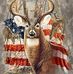 Profile Picture of Kevin Shope (@kevin.shope.14) on Facebook