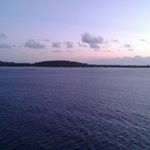 Lily Cronly - Instagram Profile Picture of Lily Cronly (@liiiilyc_photography) on Instagram