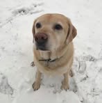 Profile Picture of Jax Ralph (@jax.ralph) on Facebook