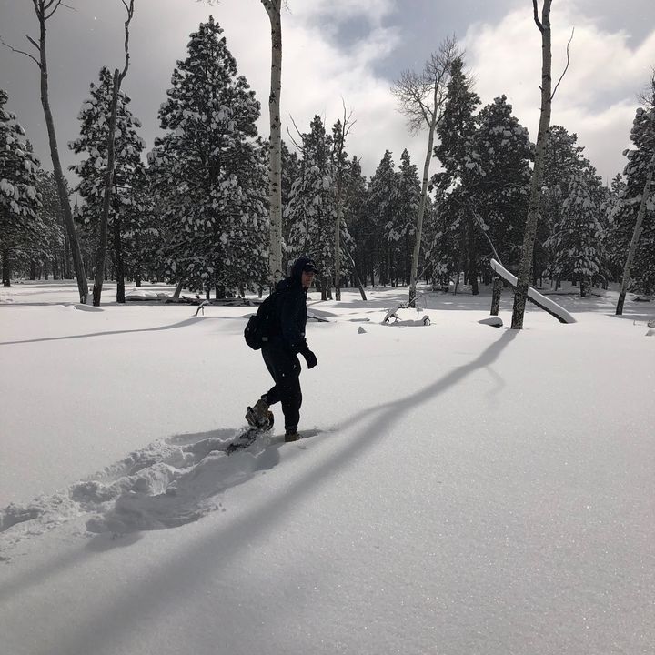 Profile Picture of adam lingeman (@adamlingeman) on Tiktok