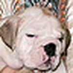 Profile Picture of Lisa Poss-Garrett (@Lisa Poss-Garrett) on Flickr