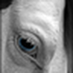 Profile Picture of Tara Malcolm (@TnT87) on Flickr