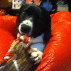 Profile Picture of Hans Edlund (@hansedlund) on Pinterest