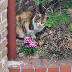 Profile Picture of Jakelin Manforte (@jakelin7_) on Instagram