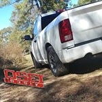 Profile Picture of Scott Stuart (@_white_noise_rt) on Instagram