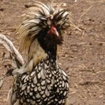 Profile Picture of Rex Doty (@rex.doty.31) on Instagram