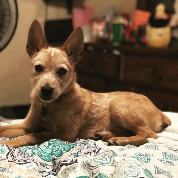 Jody Hodges - Poshmark Profile Picture of Jody Hodges (@jodyhodges) on Poshmark