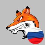 Profile Picture of Давид Бурашников (@davidburashnikov) on Instagram