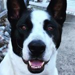 Profile Picture of Adam Hendrickson (@benjamin_breeg_) on Instagram