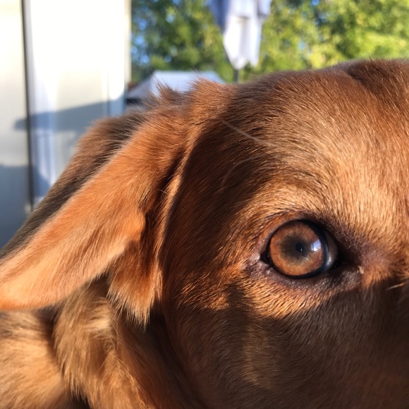 Sophia Avery - Poshmark Profile Picture of Sophia Avery (@sophiaaveryr) on Poshmark