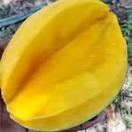 Profile Picture of Issa Salim (@Issa-Salim) on Facebook