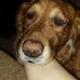 Profile Picture of Mark Schuerman (@mark.schuerman.5) on Facebook