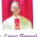 Profile Picture of Ernest Fernandes (@ernest.fernandes.39) on Facebook
