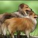Profile Picture of Linda Joyce (@avonschild) on Pinterest