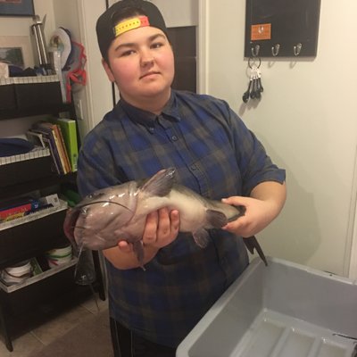 Profile Picture of Tony Rotolo (@antonio_rotolio) on Twitter