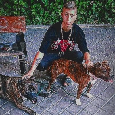 Profile Picture of Jose Seda (@joseseda11) on Twitter