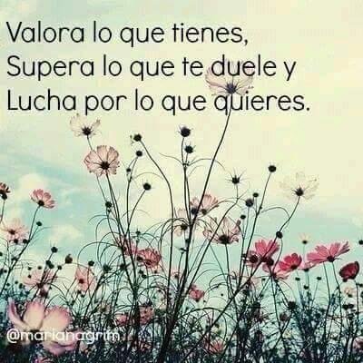 Profile Picture of Lisbeth Guzman (@lisbethguzman10) on Twitter