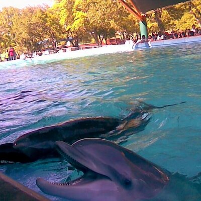 Profile Picture of Lisa Keough (@yanklee34) on Twitter