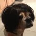Profile Picture of Nadav Meshoulam (@nadavmeshoulam) on Pinterest