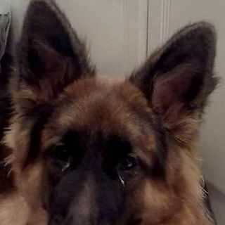 Peter Mehlmann - Facebook Profile Picture of Peter Mehlmann (@peter.mehlmann.1) on Facebook