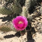 Profile Picture of Kim Struck (@farmettemarket) on Instagram