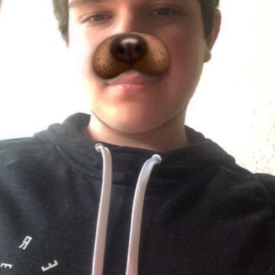 Profile Picture of Max Paulson (@Luminismaximas) on Twitter