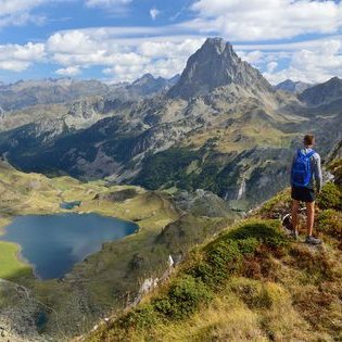 Profile Picture of Royness (@Royness2) on Twitter