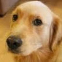 Profile Picture of Josiah James (@josiah-james-23) on Quora