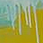 Profile Picture of Tom Yates (@t.d.yates) on Flickr