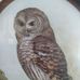 Profile Picture of Edith Patton (@edith.patton.9041) on Facebook