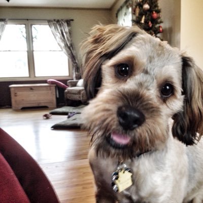 Profile Picture of Eric Keil (@erickeil1406) on Twitter