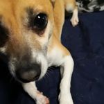 Profile Picture of Michael Ammann Philosophiae Doctor (@michael.ammann_phd) on Instagram