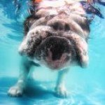 Profile Picture of Moises Galarza (@galarzasilvayahoocom) on Instagram