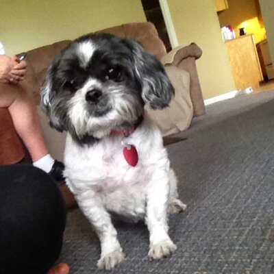 Profile Picture of Paul Stonecipher (@paul_stoney3421) on Twitter