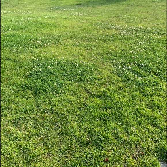 Profile Picture of Shahzad Moghaddam (@shazmogh) on Poshmark