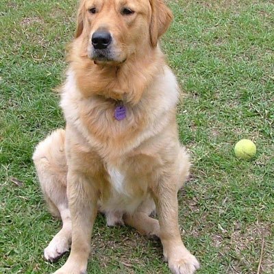 Profile Picture of David Christoffersen (@DavidChristof11) on Twitter