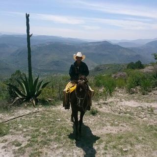 Heron Ramirez - Facebook Profile Picture of Heron Ramirez (@heron.ramirez.967) on Facebook