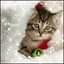 Profile Picture of Raymon LuteLansing, Michigan (@raymon.lute.3) on Facebook
