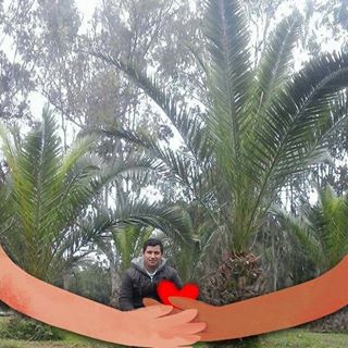 Profile Picture of J Arista Aybar (@jarista.aybar) on Facebook