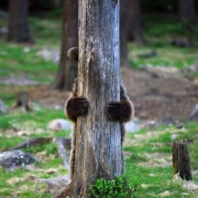 Profile Picture of Erin Walsh (@erinwal) on Twitter