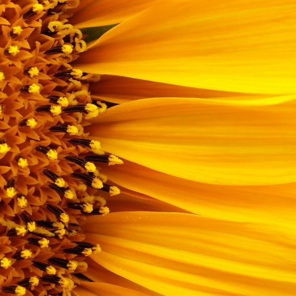 Profile Picture of Paula Cashman (@pcashman16) on Poshmark