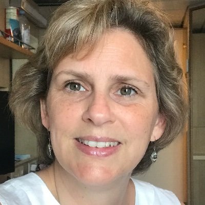 Profile Picture of Carolyn D Stern (@CarolynDStern1) on Twitter