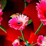 Khan Dadlar - Facebook Profile Picture of Khan Dadlar (@Khan-Dadlar) on Facebook