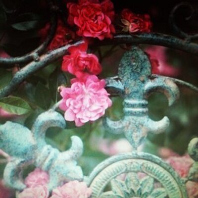 Dawn Hubbard - Twitter Profile Picture of Dawn Hubbard (@DawnHubbard14) on Twitter