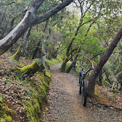 Profile Picture of Joshua Holm (@joshuaholm8814) on Youtube